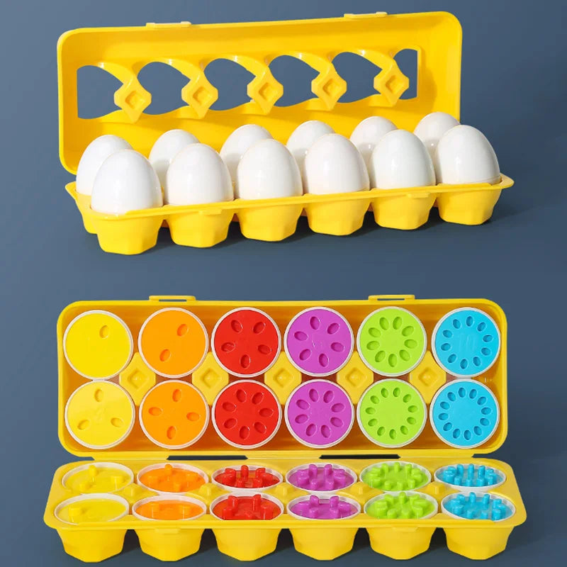 Matching Eggs Learning Toy