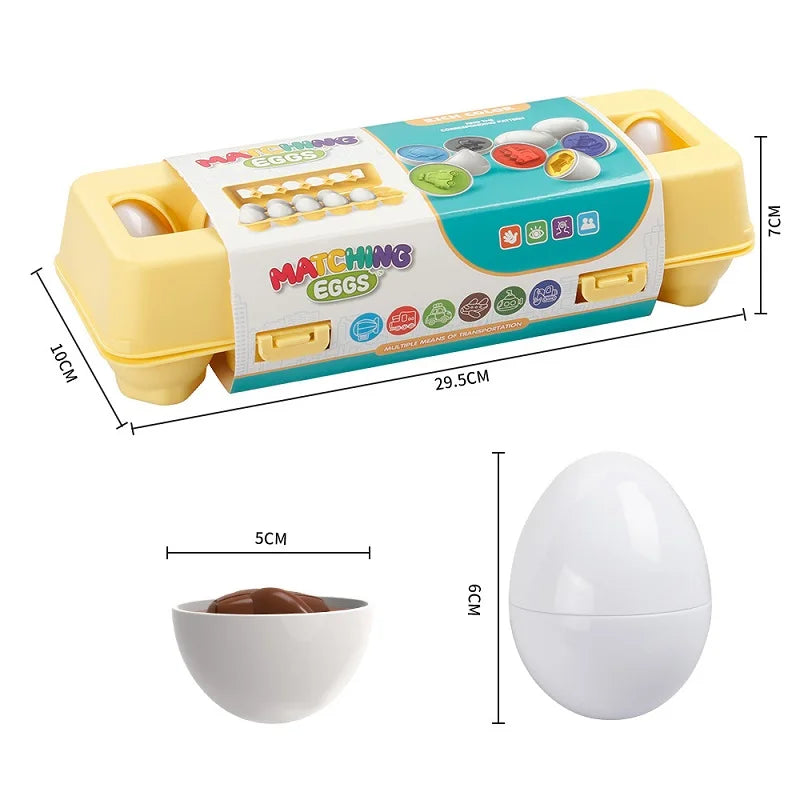 Matching Eggs Learning Toy